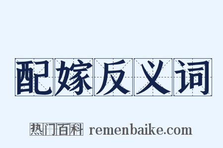 配嫁反义词是什么意思的图片